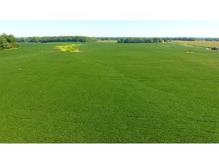 Property photo 12 - LAND AUCTION - 1,193+/- ACRES IN 14 TRACTS IN PIKE & GIBSON COUNTY, INDIANA